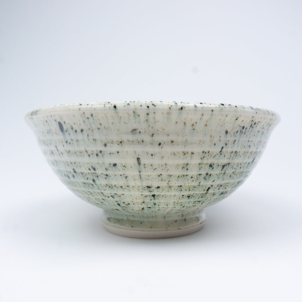 Splatterware Fancy Everyday Bowl