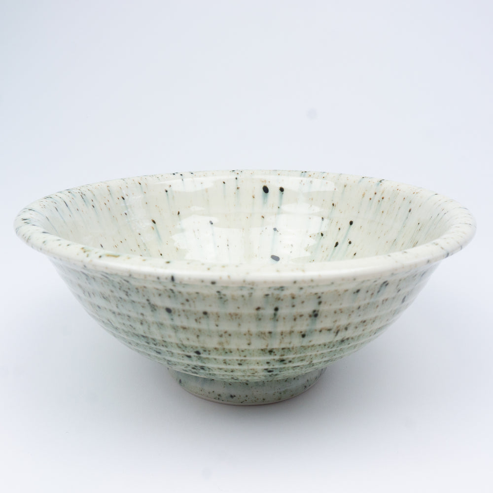 Splatterware Fancy Everyday Bowl