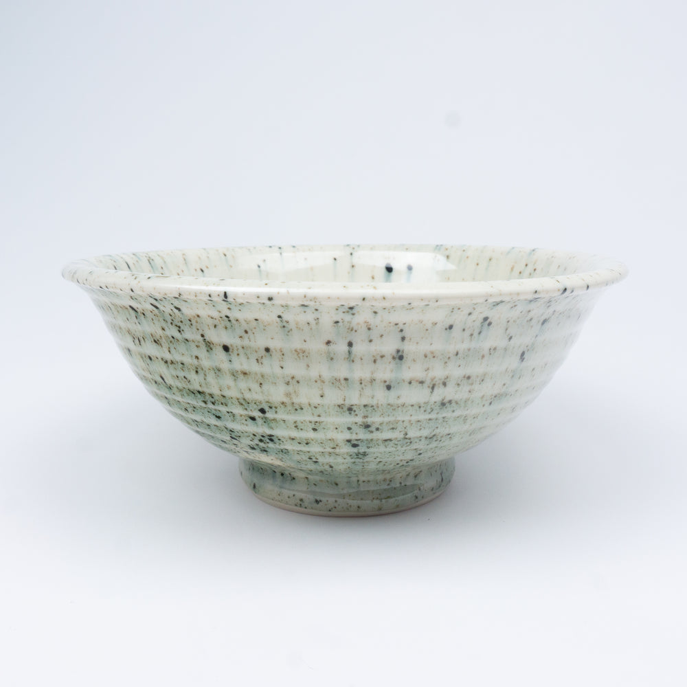 Splatterware Fancy Everyday Bowl